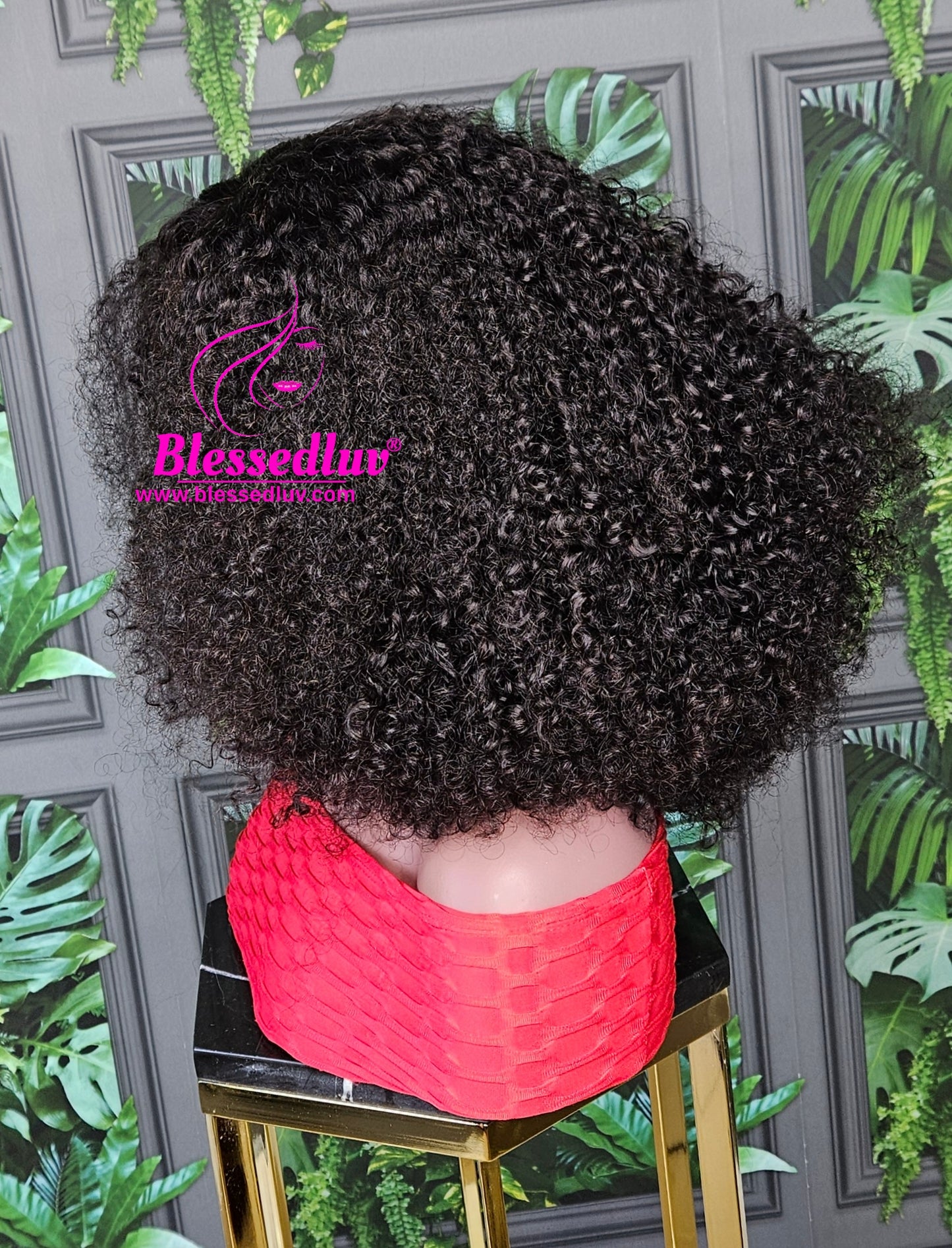 Ngozi - Luxury 2 -In-1 Afro Curls Lace Closure Wig-WIG-www.blessedluv.com-Brazilianweave.com