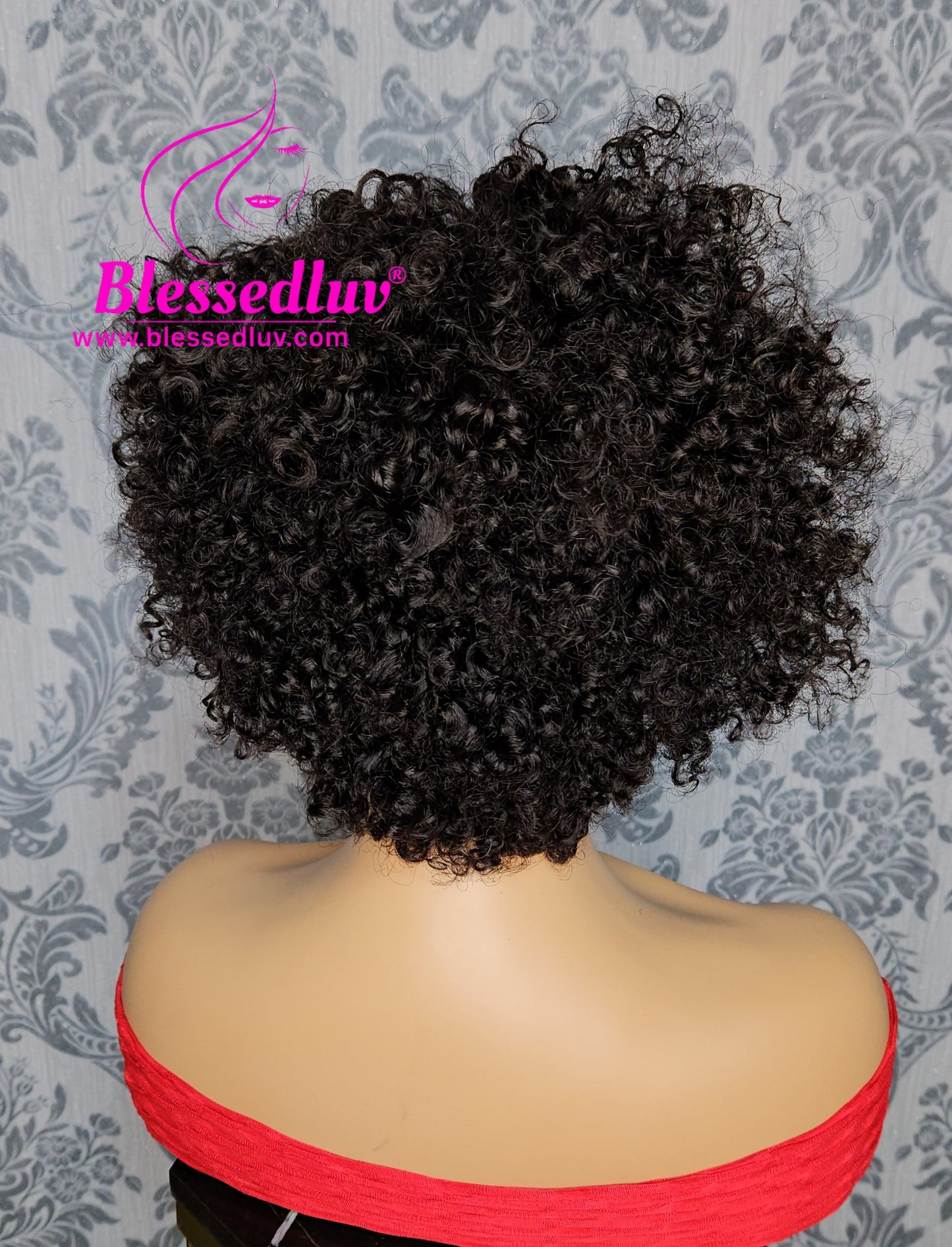 Adetola - Braided Glueless Curly Frontal Wig - Affordable Collection-Wigs-www.blessedluv.com-Brazilianweave.com