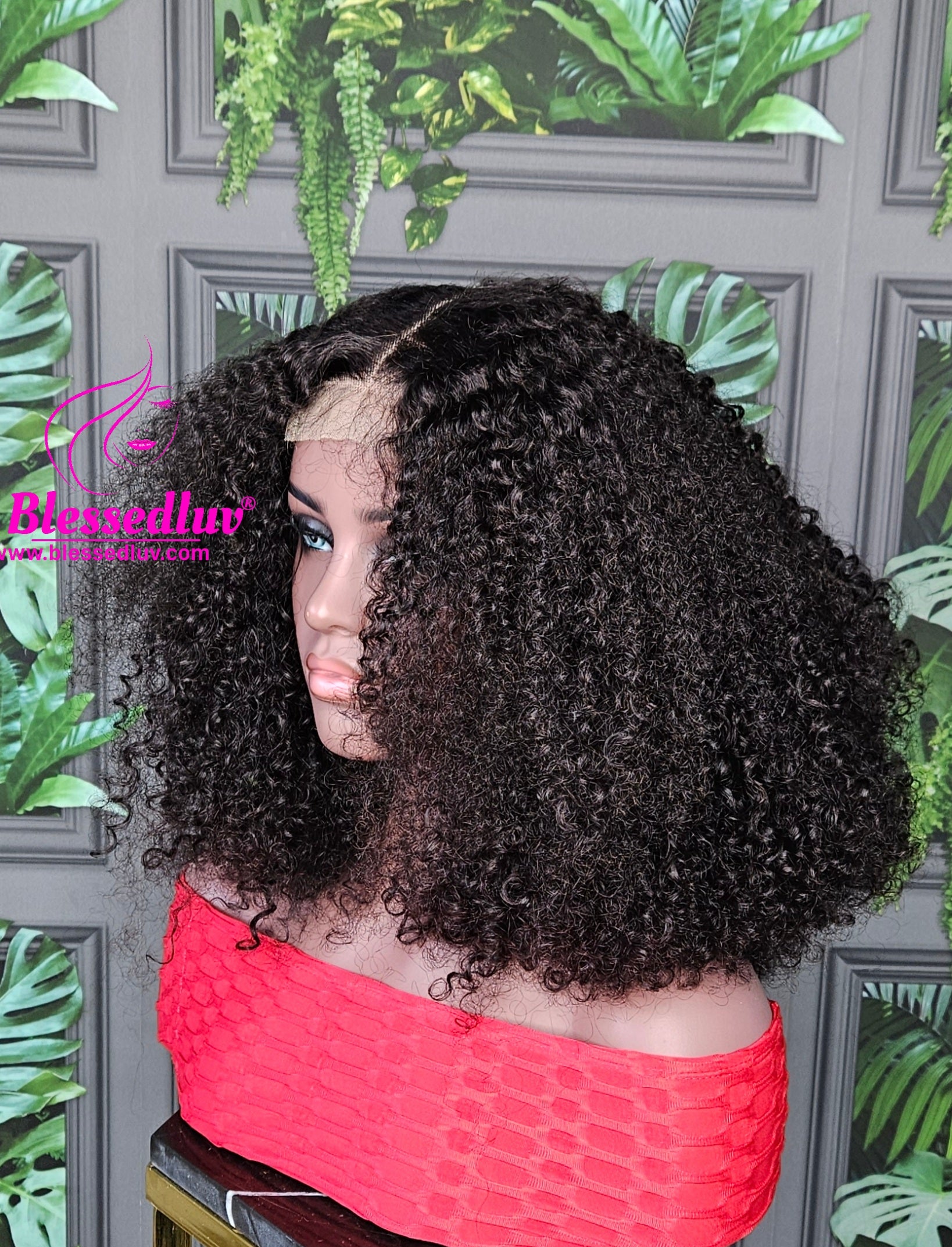 Ngozi - Luxury 2 -In-1 Afro Curls Lace Closure Wig Sale-WIG-www.blessedluv.com-Brazilianweave.com