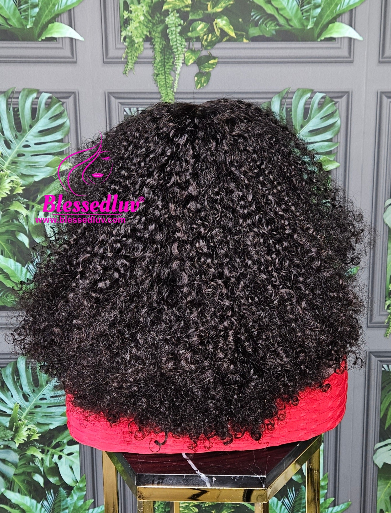 Ngozi - Luxury 2 -In-1 Afro Curls Lace Closure Wig Sale-WIG-www.blessedluv.com-Brazilianweave.com