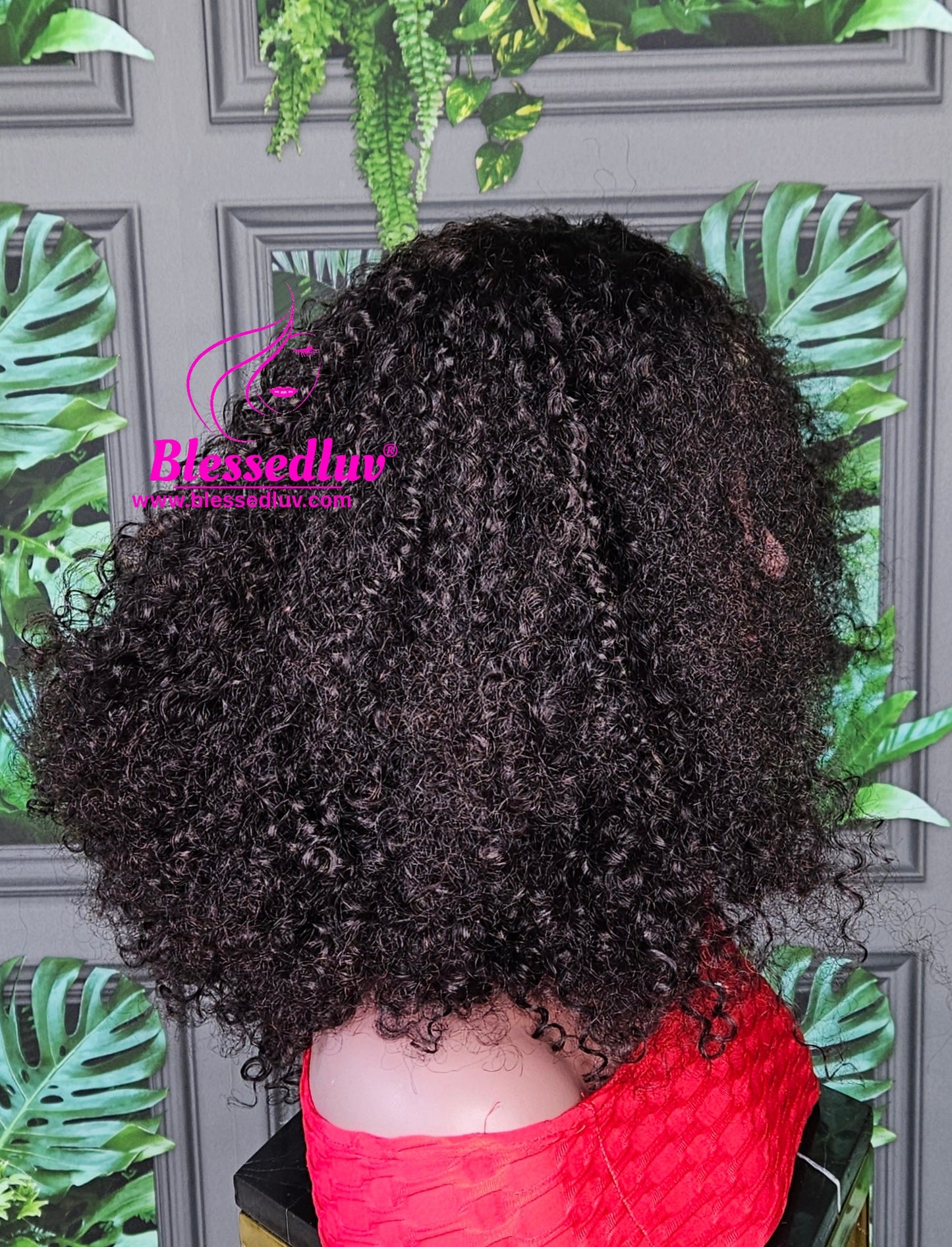 Ngozi - Luxury 2 -In-1 Afro Curls Lace Closure Wig-WIG-www.blessedluv.com-Brazilianweave.com